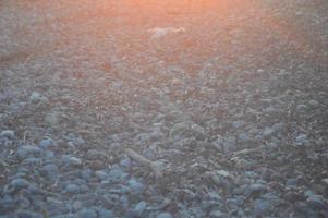 Pebble texture on the Aegean coast in Greece photo