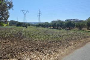 Poles and wires of high-voltage power lines photo