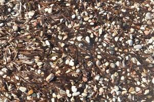 Pebble texture on the Aegean coast in Greece photo