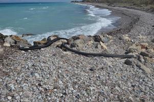 Flexible hose for water supply at the seaside photo