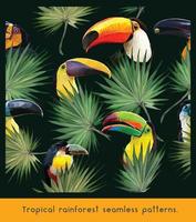 Tropical rainforest Toucan birds seamless patterns vector