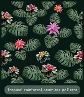 Tropical rainforest flower seamless patterns vector