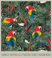 Seamless pattern illustration Scarlet macaw birds vector