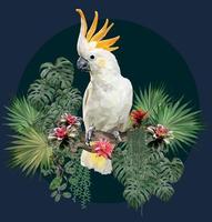 Cockatoo bird and Amazon plants vector