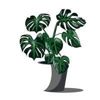 Monstera plant illustration vector image on a yellow background