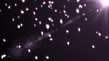 animazione del ciclo di particelle di fiori di ciliegio sakura