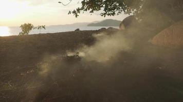 brûlage à ciel ouvert d'herbe sèche video