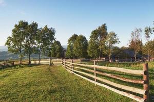 Beautiful summer mountain landscape at sunshine.View of the meadow fenced fence and cows grazing on it photo