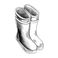 Rubber boots hand-drawn vector illustration. Autumn waterproof  boots. Classic waterproof shoes. A design sketch element  on a white background. Drawing with an ink pen.