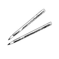 Vector hand-drawn school and office supplies Illustration. Detailed retro style pencils  sketch. Vintage sketch element. Back to School. School essential illustration.