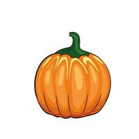 Cute orange pumpkin isolated on a white background. Cartoon vector illustration for Halloween.