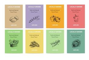 Vector hand-drawn set of agricultural banners. An environmentally friendly food product. Vintage illustration. A hand-drawn sketch.