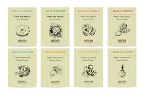 Vector hand-drawn set of agricultural banners. An environmentally friendly food product. Vintage illustration. A hand-drawn sketch.