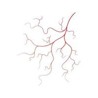Human vein  vector symbol icon design illustration