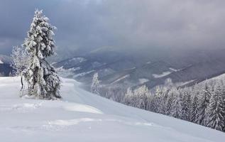 Great winter photo in Carpathian mountains with snow covered fir trees. Colorful outdoor scene, Happy New Year celebration concept. Artistic style post processed photo