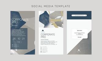 Vector template for social media and web formats, brand identity collection