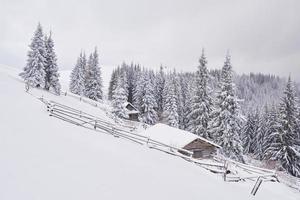 Cozy wooden hut high in the snowy mountains. Great pine trees on the background. Abandoned kolyba shepherd. Cloudy day. Carpathian mountains, Ukraine, Europe photo