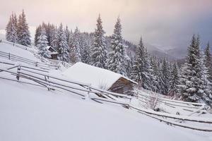 acogedora cabaña de madera en lo alto de las montañas nevadas. grandes pinos al fondo. pastor kolyba abandonado. día nublado. montañas de los Cárpatos, Ucrania, Europa foto