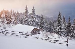 Cozy wooden hut high in the snowy mountains. Great pine trees on the background. Abandoned kolyba shepherd. Cloudy day. Carpathian mountains, Ukraine, Europe photo