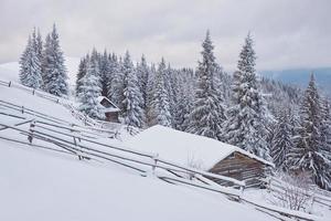 Cozy wooden hut high in the snowy mountains. Great pine trees on the background. Abandoned kolyba shepherd. Cloudy day. Carpathian mountains, Ukraine, Europe photo
