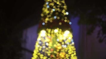 flou sapin de noël bokeh lumière video