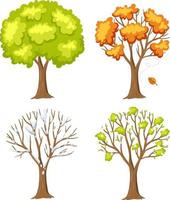 Set of tree in different season vector