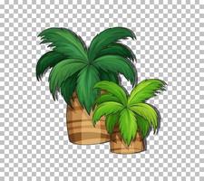 Palm tree on grid background vector