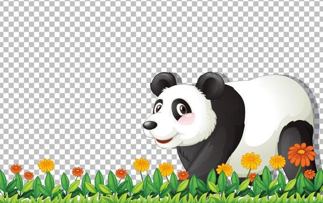 Panda bear walking on green grass on grid background