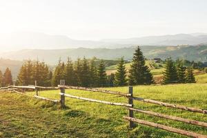 Carpathian mountains. The photo was taken high in the Carpathian Mountains. Beautiful sky and bright green grass, convey the atmosphere of the Carpathians. In the Carpathians, a very beautiful scenery