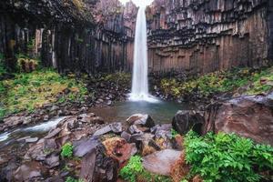 Great view of Svartifoss waterfall. Dramatic and picturesque scene. Popular tourist attraction. Iceland photo