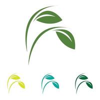 leaf logo set illustration design vector