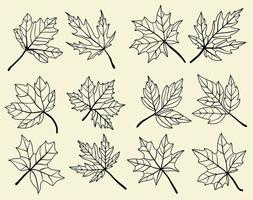 Collection of simplicity maple leaf freehand drawing flat design. vector