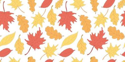 Autumn colorful leaves seamless pattern vector