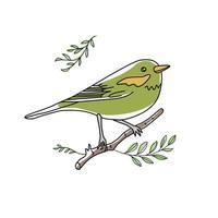 ilustración de aves. colección de lindos garabatos de pájaros dibujados a mano. estilo de línea en minimalismo en imagen vectorial blanca vector