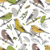 Bird illustration seamless pattern. Collection of cute hand drawn bird doodles. Line style in minimalism on white vector picture