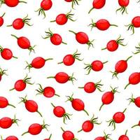 Vector seamless pattern with rosehip berries. Vector illustration. Illustration on theme big colored seamless rose hip, bright berry pattern for seal. . Vector illustration