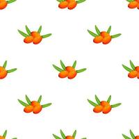Seamless pattern of sea buckthorn. Natural organic sea buckthorn seamless pattern vector illustration bright seamless vector pattern with sea buckthorn. autumn is warm. Vector illustration