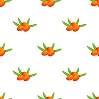 Seamless pattern of sea buckthorn. Natural organic sea buckthorn seamless pattern vector illustration bright seamless vector pattern with sea buckthorn. autumn is warm. Vector illustration