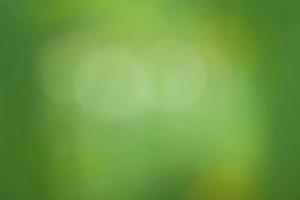 Natural green blurred background. Defocus light green. photo