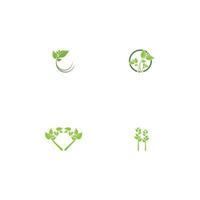 Logos of green Tree leaf ecology vector