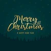 Merry Christmas and Happy New Year. Calligraphy with winter holidays on textured background vector