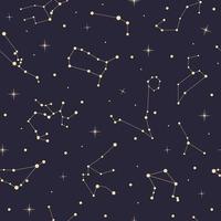Seamless pattern with flat elegant gold astrology zodiac constellations with stars vector