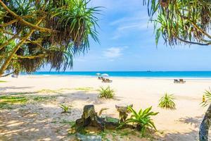 Hermoso panorama de paisaje soleado de la playa de bentota en sri lanka. foto