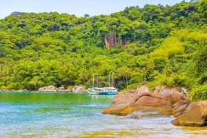 Mangrove and Pouso beach on tropical island Ilha Grande Brazil. photo