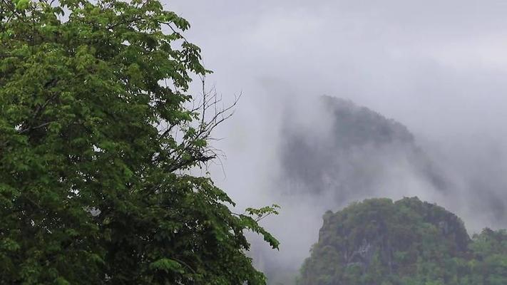 霧氣影片