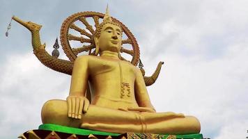 estátua de Buda dourado grande wat phra yai templo koh samui. video