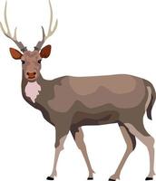 Deer Mammal Animal Vector