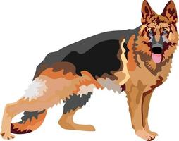 Herder Dog Pet Animal Vector