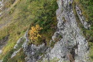 Fondo de naturaleza con montañas y vegetación en la época otoñal del año foto