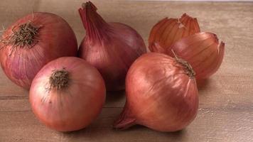 Fresh red onions photo